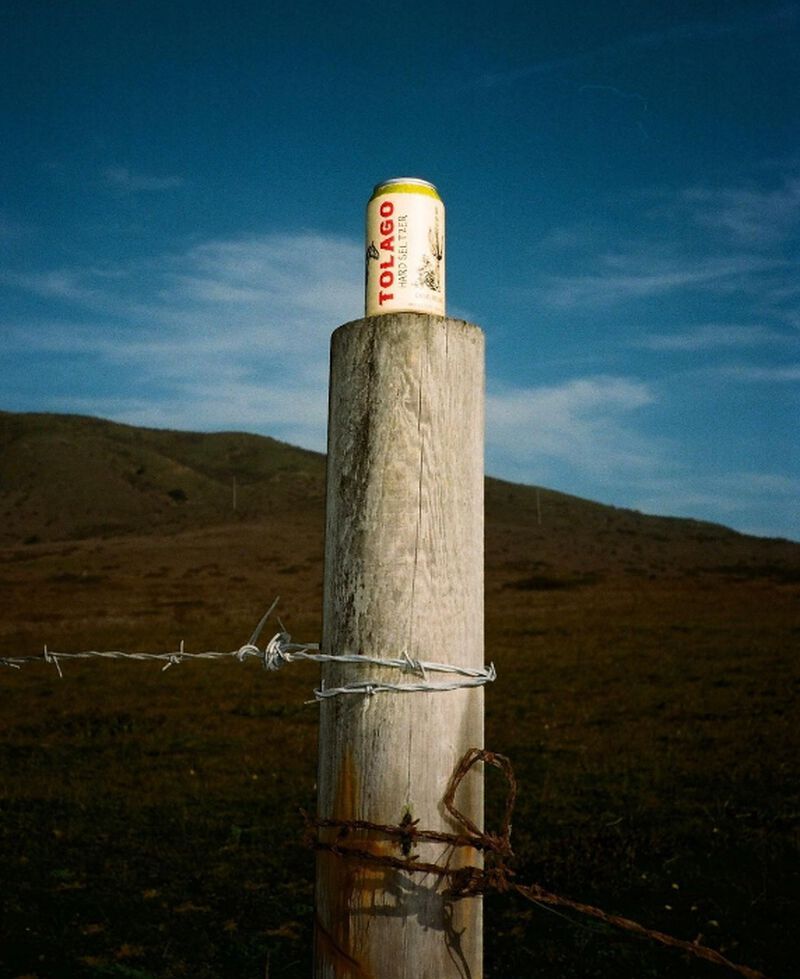 A can of Tolago Ginger Pear on a post